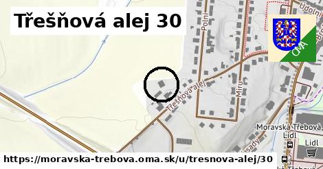 Třešňová alej 30, Moravská Třebová