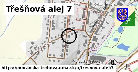 Třešňová alej 7, Moravská Třebová