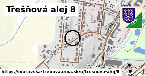 Třešňová alej 8, Moravská Třebová