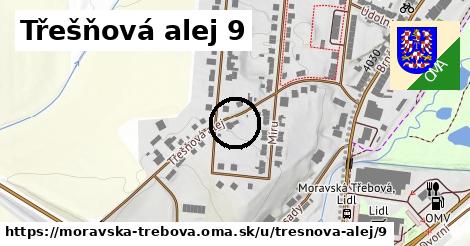 Třešňová alej 9, Moravská Třebová