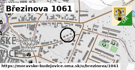 Březinova 1061, Moravské Budějovice