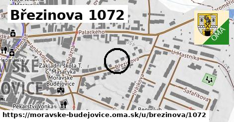 Březinova 1072, Moravské Budějovice