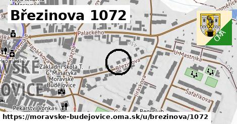 Březinova 1072, Moravské Budějovice