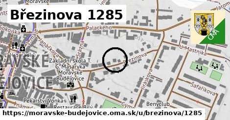 Březinova 1285, Moravské Budějovice