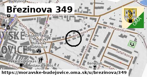 Březinova 349, Moravské Budějovice