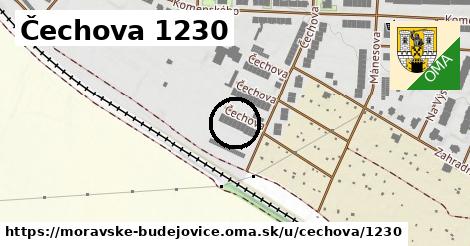 Čechova 1230, Moravské Budějovice