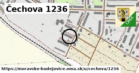 Čechova 1236, Moravské Budějovice