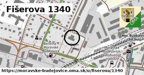 Fišerova 1340, Moravské Budějovice