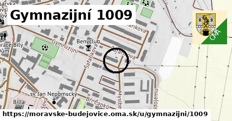 Gymnazijní 1009, Moravské Budějovice