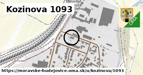 Kozinova 1093, Moravské Budějovice