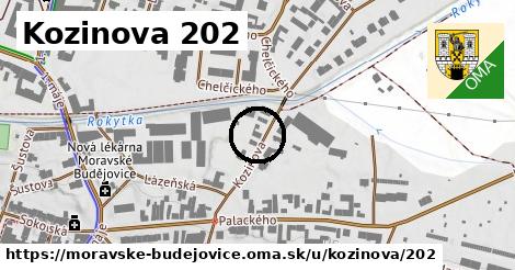 Kozinova 202, Moravské Budějovice