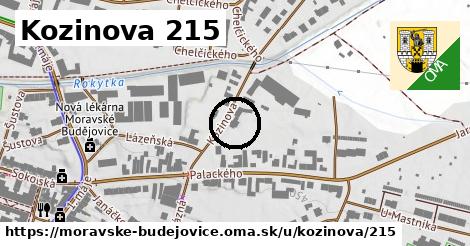 Kozinova 215, Moravské Budějovice