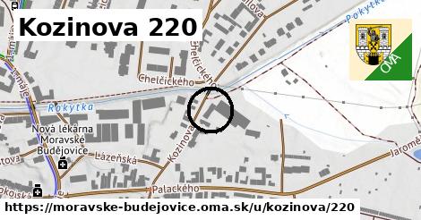 Kozinova 220, Moravské Budějovice