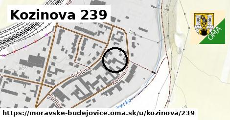 Kozinova 239, Moravské Budějovice