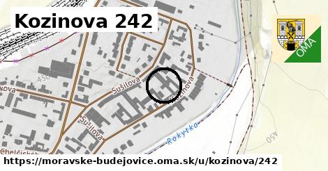 Kozinova 242, Moravské Budějovice