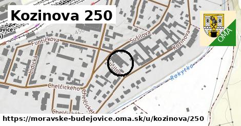 Kozinova 250, Moravské Budějovice
