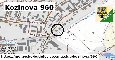 Kozinova 960, Moravské Budějovice