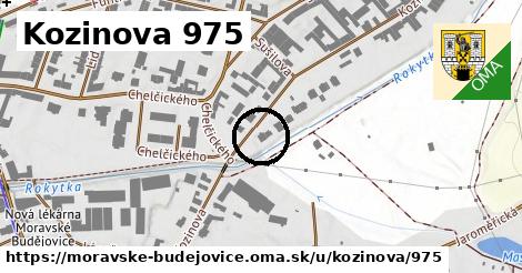 Kozinova 975, Moravské Budějovice