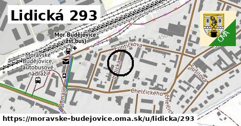Lidická 293, Moravské Budějovice