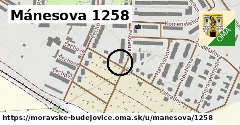 Mánesova 1258, Moravské Budějovice