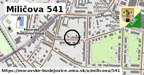 Miličova 541, Moravské Budějovice