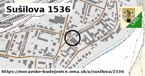 Sušilova 1536, Moravské Budějovice