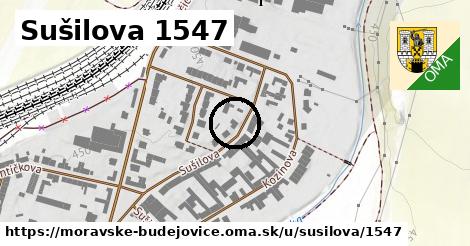 Sušilova 1547, Moravské Budějovice