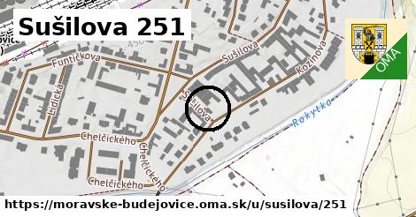 Sušilova 251, Moravské Budějovice