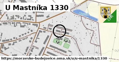 U Mastníka 1330, Moravské Budějovice