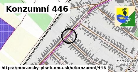 Konzumní 446, Moravský Písek