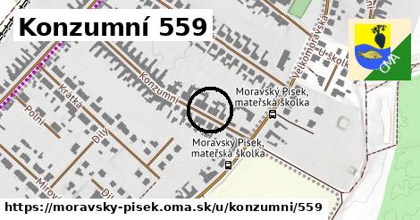 Konzumní 559, Moravský Písek