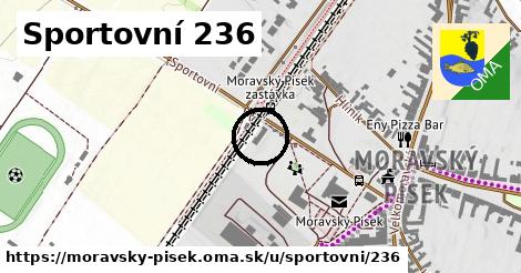 Sportovní 236, Moravský Písek