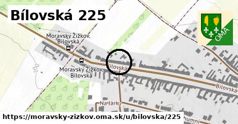 Bílovská 225, Moravský Žižkov