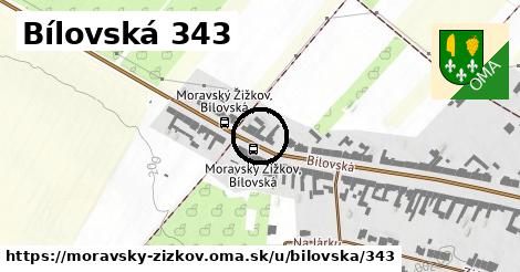 Bílovská 343, Moravský Žižkov