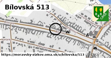 Bílovská 513, Moravský Žižkov