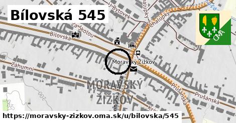 Bílovská 545, Moravský Žižkov