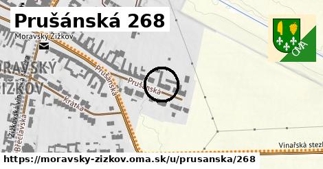 Prušánská 268, Moravský Žižkov