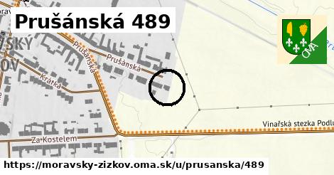 Prušánská 489, Moravský Žižkov