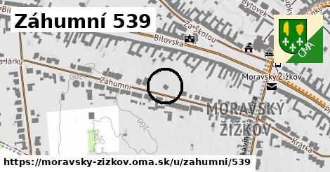 Záhumní 539, Moravský Žižkov