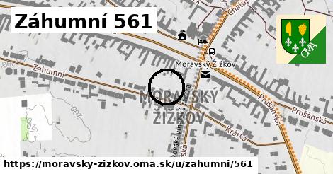 Záhumní 561, Moravský Žižkov