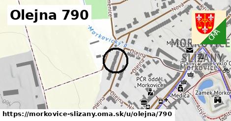 Olejna 790, Morkovice-Slížany