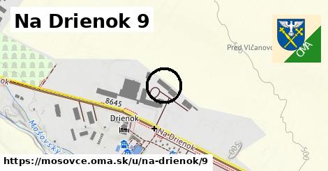 Na Drienok 9, Mošovce