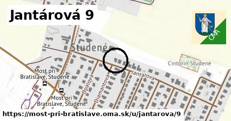 Jantárová 9, Most pri Bratislave