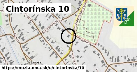 Cintorínska 10, Mužla