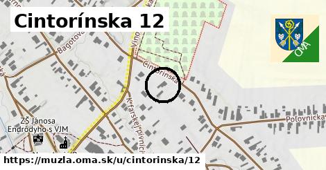 Cintorínska 12, Mužla