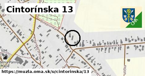 Cintorínska 13, Mužla