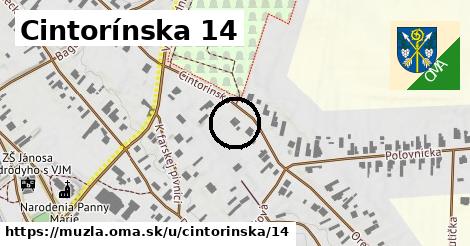 Cintorínska 14, Mužla