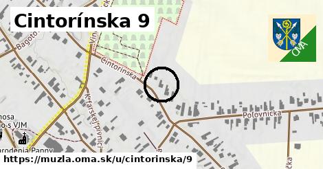 Cintorínska 9, Mužla