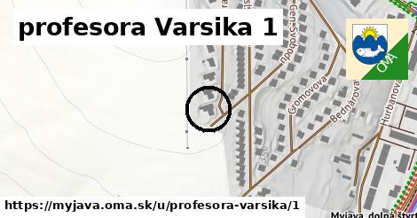 profesora Varsika 1, Myjava