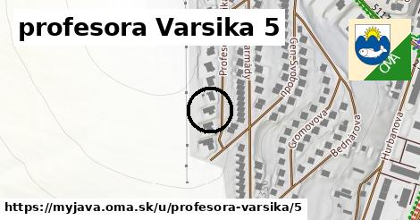 profesora Varsika 5, Myjava